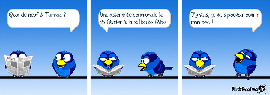 3birds-janvier-web