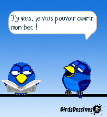 birds-janvier-web